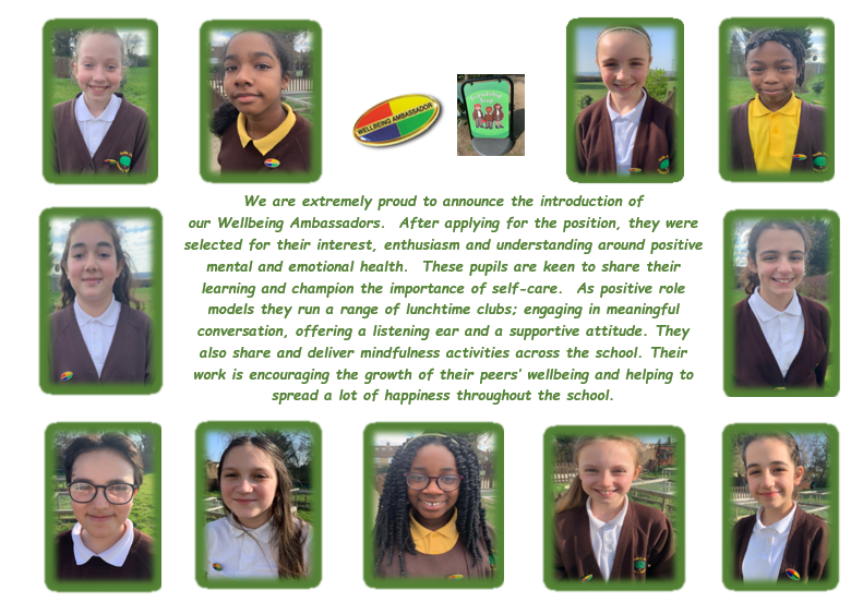 Meet our Well-being Ambassadors